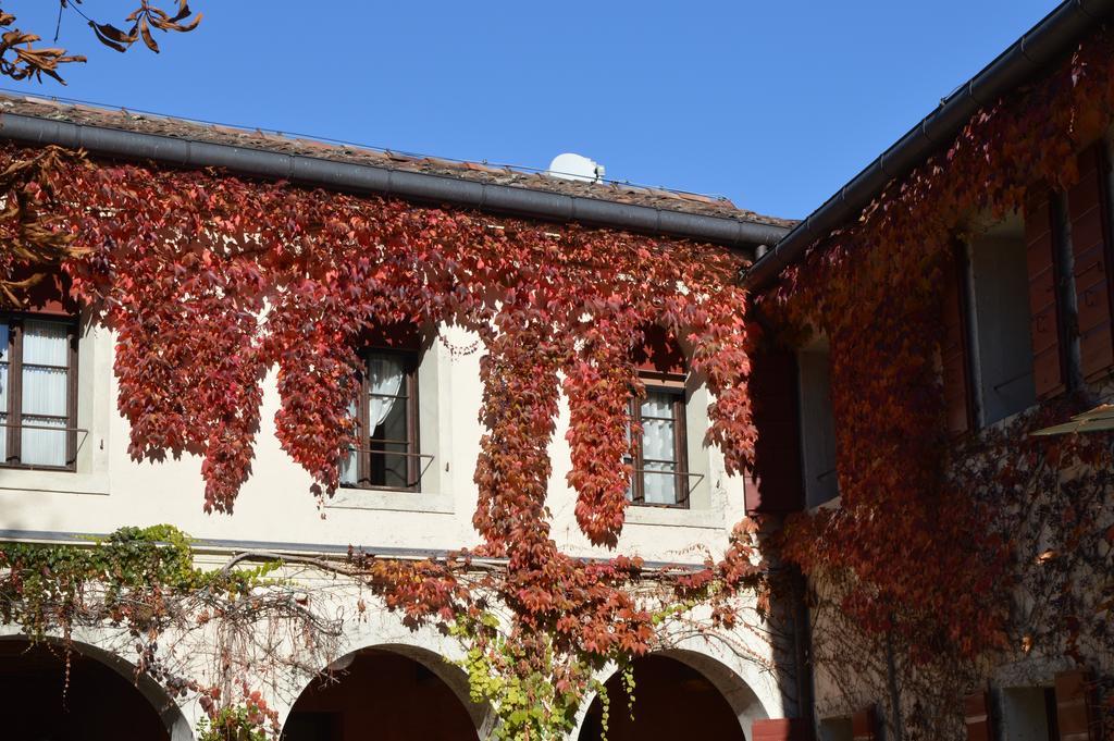 I Giardini Segreti Di Villa Marcello Marinelli Cison di Valmarino Exterior foto