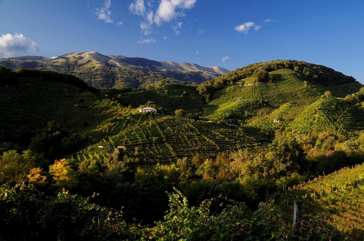 I Giardini Segreti Di Villa Marcello Marinelli Cison di Valmarino Exterior foto